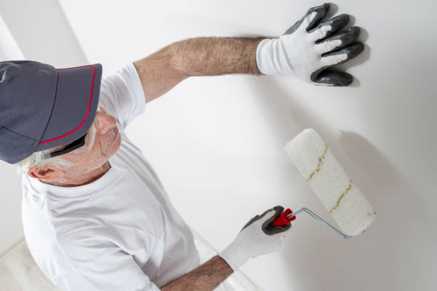 Best Residential Mold Inspection & Testing  in Lovington, IL