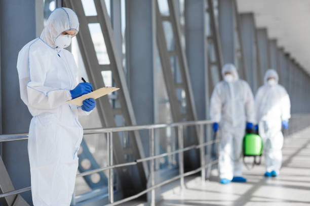 Best Mold-Related Health Consultation  in Lovington, IL