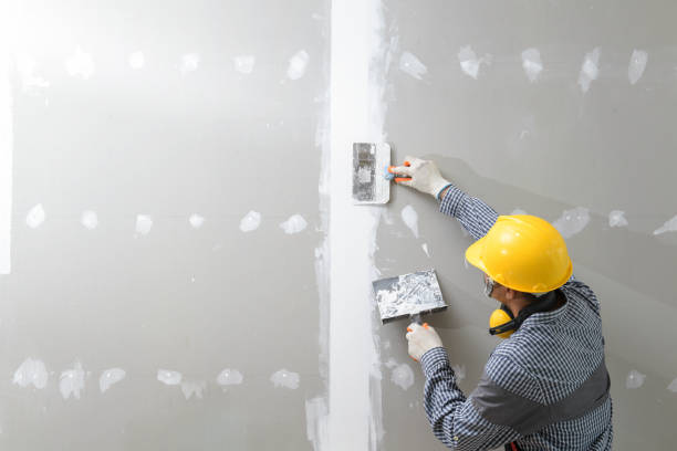 Professional Mold Removal in Lovington, IL