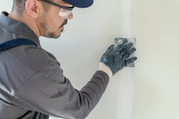 Best Mold Remediation for Healthcare Facilities  in Lovington, IL