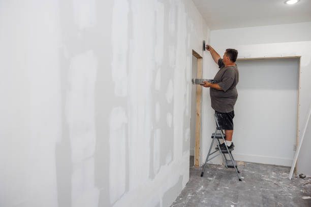 Best Black Mold Removal  in Lovington, IL