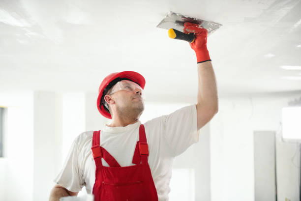 Best Commercial Mold Inspection  in Lovington, IL